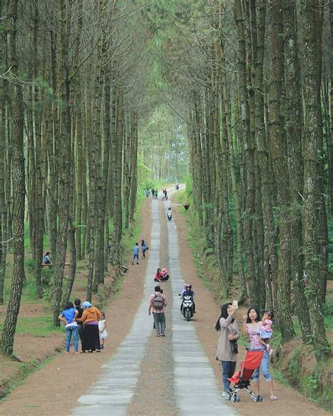 Cukup mengeluarkan budget sekitar rp. Lokasi Wisata Anti Mainstream di Jogja Selama Liburan ...