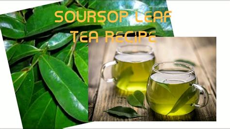 Maybe you would like to learn more about one of these? SOURSOP LEAVES TEA RECIPE - YouTube