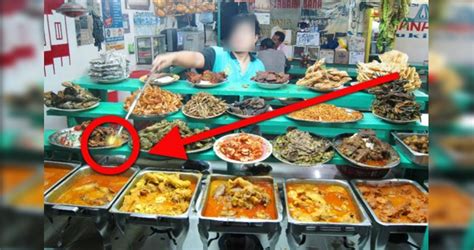 Negeri pahang terkenal dengan masakan patin. TAHUKAH ANDA PELARIS GUNA LIDAH JIN ?? Pernah tak KORANG ...