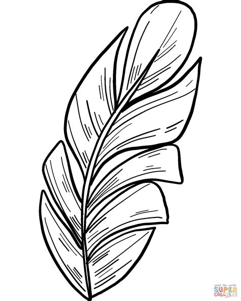 Free printable palm leaf coloring page. Palm Leaf coloring page | Free Printable Coloring Pages