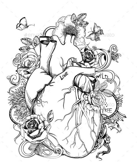 This interactive, folding notes page is designed to teach students the anatomy of the heart as well as the circulation pathway of blood through it. Heart - Anatomy Picture with Flowers | Tattoo coloring ...