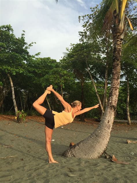 The coconut tree (cocos nucifera) is a member of the family arecaceae (palm family). The best way to spend sunrise in Costa Rica - standing bow ...