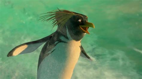 Surfs Up, Penguins, Bird, Animals, Animales, Animaux, Birds, Surf, Penguin