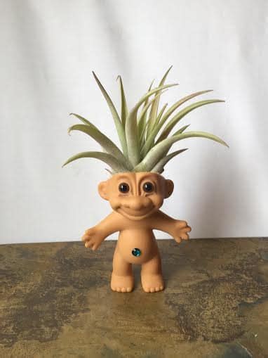 Planters are used to sow large seeds into rows in the ground. Troll Planters