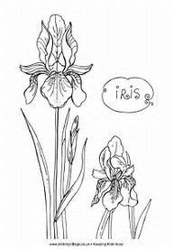 Želi se igrati s prijateljima, ali i impresionirati susjednu kujicu iris koja živi kuću do njega. Image result for coloring page iris flower | Flower ...
