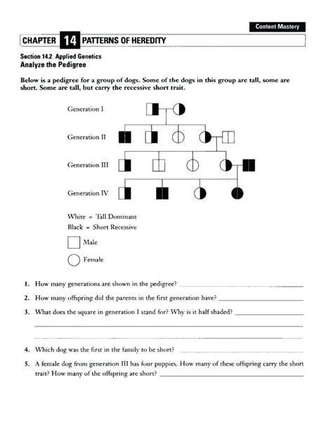 Monohybrid cross worksheet answers & polskidziensc 1st from pedigree worksheet answer key , source: Genetics Pedigree Worksheet Answer Key - Thekidsworksheet