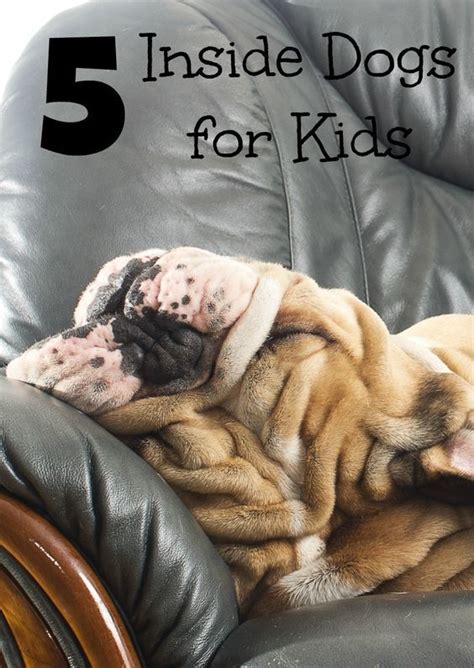 14 Best Indoor dogs for kids (That Don't Shed) (With ...