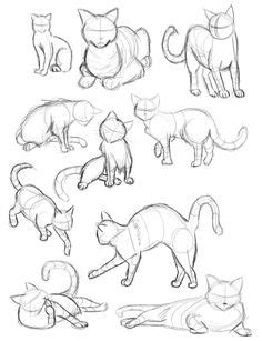 Drawing a cat is easy to do. Walking Cat Drawing at GetDrawings | Free download