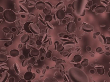 These two numbers added together produce the total gleason score, which is a number between 2 and. What Does High White Blood Cell Count Mean? | Cancer ...