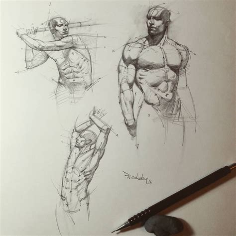 Sie zeichnen sich durch eine hohe energiedichte aus und liefern. Academic Art | Figure drawing tutorial, Figure drawing ...