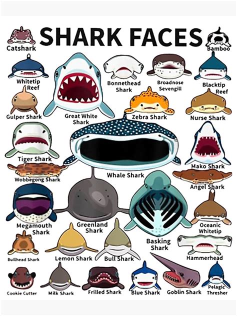 Check spelling or type a new query. "Types Of Shark Identification - Shark Faces " Poster by ...