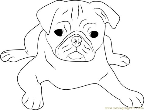 This beautiful and detailed zentangle inspired, doodle art, design was hand drawn and turned into a print for your enjoyment. Printable Pug Coloring Pages - Coloring Home