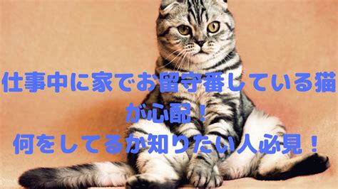 ナタリヤ・ブリノワさんは「例えばイタリア語では行くという単語はandareひとつしかありません。 それがロシア語だとそのニュアンスによってходить、идти、пойти、 ехать、 поехать、ездить これは外国人学習者に人生は甘くないと思い知らせるためでしかないだろう。 仕事中に家でお留守番している猫が心配!何をしてるか知り ...