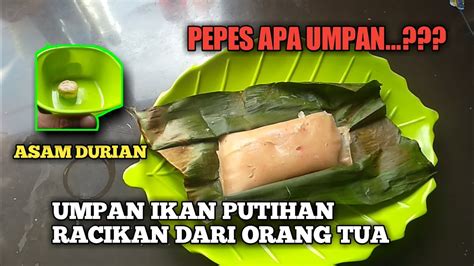 Maybe you would like to learn more about one of these? CARA MEMBUAT UMPAN IKAN TAWES, WADER, DAN NILEM - YouTube