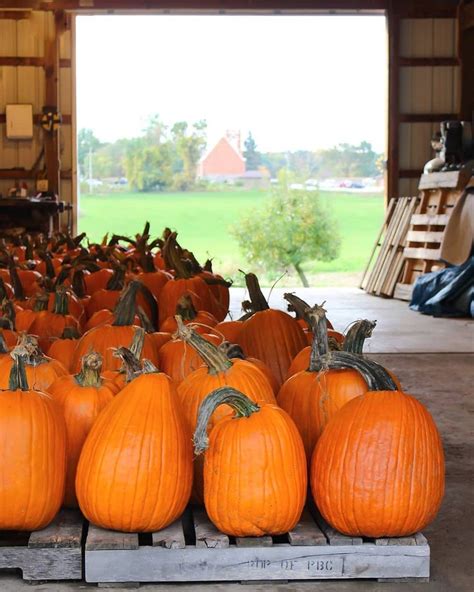 You can track multiple tracking numbers by entering them in the space provided above and. One of my favorite farm stands near me. I love the open ...