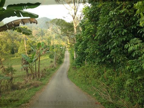 Sepanjang 2 hari 1 malam kat sini, makanan kami disediakan oleh thr cafe & garden bistro cafe tadom hill resorts. {cerita budak jawe}: Bercuti di Cherangin Hills Resort ...