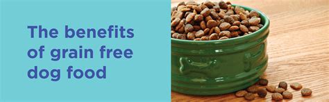 Grain Free Dog Food - Is it Really better for my Dog? Here ...