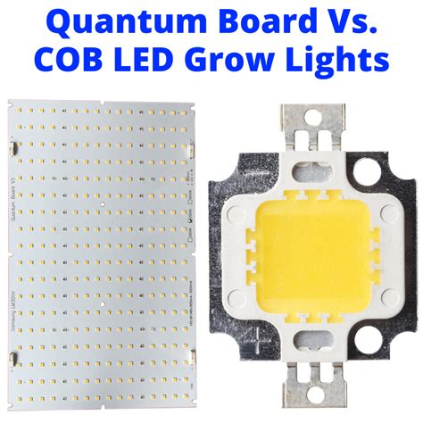 The cob grow lights work equivalent to 1000w hps/mh grow lamps while consuming only 380w true output in terms of energy efficiency. Quantum Board Vs COB LED Grow Lights (The Key To Deciding ...