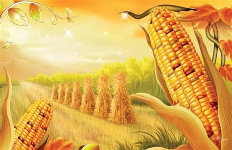 Posted by anita kartikasari posted on maret 23, 2019 with no comments. corn - Full HD wallpapers