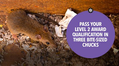 The level 2 'award' is designed to provide a good grounding in pest control for anyone involved in the field and has become the benchmark qualification in the industry. New way to pass your Level 2 Award in Pest Management