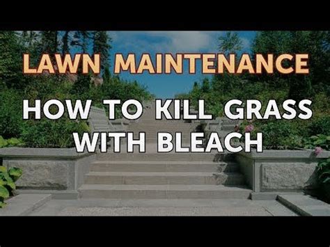 Check spelling or type a new query. How to Kill Grass With Bleach - YouTube