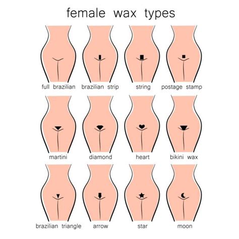 Curly hair men have different cutting and styling requirements than straight or even wavy. Pubis Stock Vectors, Royalty Free Pubis Illustrations ...