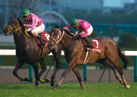Manage your video collection and share your thoughts. Tonyの競馬写真ブログ 第57回阪神大賞典