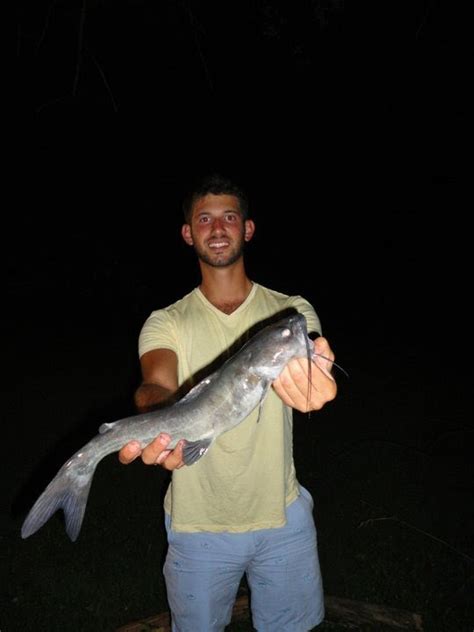 Check spelling or type a new query. How to CATCH CATFISH - Our method for stacking whiskers in ...