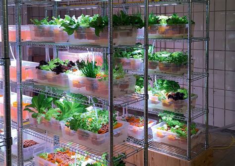 All your hydroponics garden needs is a system, water, lights, seeds and nutrients. The Ultimate Ikea Hack: A Hydroponic Farm (With images) | Hydroponic gardening, Backyard ...