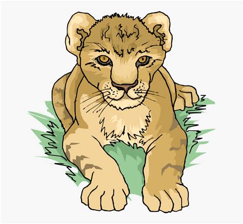 Top 20 lion coloring pages for kids: Free Lion Clipart - Lion Cub Coloring Pages , Free Transparent Clipart - ClipartKey