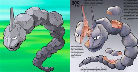 A transformative educational art project, dissecting, expanding, & exploring the original 150 pokémon in a fully illustrated artbook. Artist Imagines Pokemon With Realistic Anatomy And Results ...