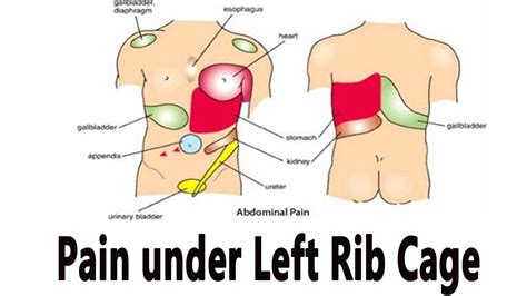 You could have gall stones or kidney stones. Home remedies for Pain under Left Rib Cage | How to make easy remedies Pain under Left Rib Cage ...