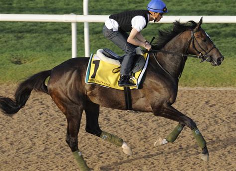 Nad al sheba racecourse is a thoroughbred horse racing facility in dubai, united arab emirates opened in 1986. Frankel/Vodka Colt Gets Off The MarkFrankel/Vodka Colt ...