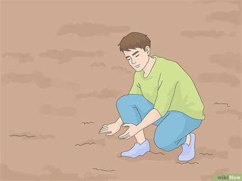 Comment lutter contre l'érosion des sols: 27 étapes