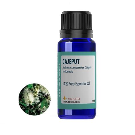 Most people can use tea tree oil topically with no problems. Cajeput (Melaleuca Leucadendron Cajeputi) - Naturra