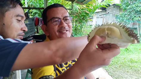 Posted by batu kurau kini. Memburu Durian Batu Kurau - YouTube