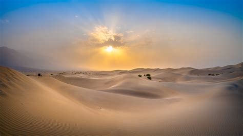 Danish zen 6 місяців тому. Death Valley Sand Dunes Autumn Wind Storm Fuji GFX 100 Zen ...