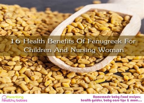 Ultimate effects, benefits, virtues the seed of fenugreek is also the great friend of the lactating women, plant galactogène by excellence, which. Fenugreek Production Guide : Growing Fenugreek Plant ...