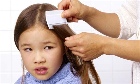 Tidak hanya menghilangkan rambut dengan cara yang nyaman, bahan alami juga bisa menghilangkan rambut secara permanen. 'Frust' Nak Hilangkan Kutu Rambut Pada Anak? Ini 7 Cara ...