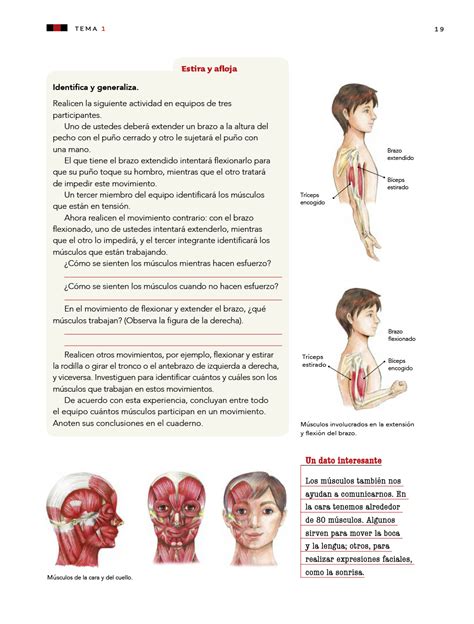 Learn vocabulary, terms and more with flashcards, games and other study tools. Ciencias Naturales Tercer grado 2017-2018 - Ciclo Escolar ...