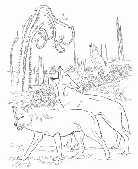 Your resource to discover and connect with designers worldwide. Coyote Coloring Pages - Coloring Home