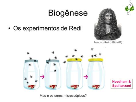 More specifically, it is the theory that living things only come from other living things through reproduction. Origem da vida | Biologia: A ciência da vida