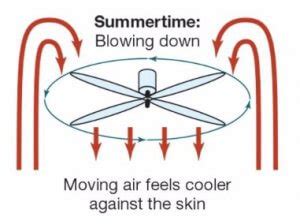 A ceiling fan that is rotating the correct direction can make your room feel cooler for the summer and warmer for the winter. Ceiling Fan Direction Summer vs Winter - Magic Touch ...
