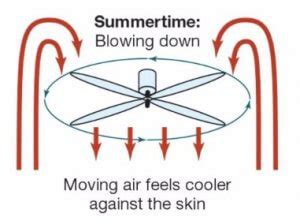 A ceiling fan that is rotating the correct direction can make your room feel cooler for the summer and warmer for the winter. Ceiling Fan Direction Summer vs Winter - Magic Touch ...