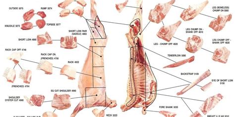 These primal cuts are then broken down further into individual retail. Lamb Meat Prices - Jacobs Heritage Farm