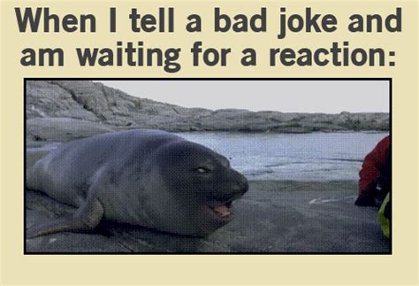 Check spelling or type a new query. Funny GIFS