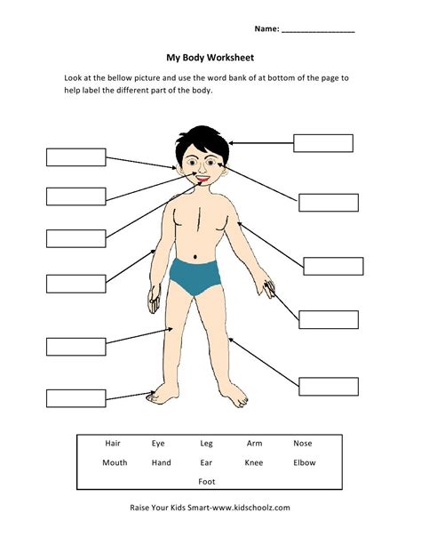 These worksheets are tailored for grade 1 and grade 2 kids. Grade 1 - Human Body Parts Worksheet | summmer vacation ...