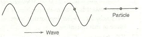 Two common categories of waves are transverse waves and longitudinal waves. define longitudinal wave motion what are the essential ...