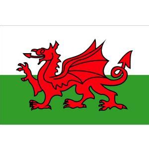 The flag of wales (welsh: Wales Courtesy Flag 30cm x 45cm - 42162