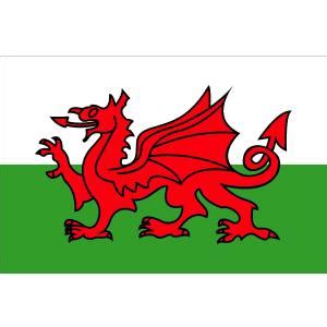 The flag of wales (welsh: Wales Courtesy Flag 30cm x 45cm - 42162